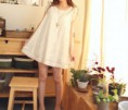 Vestido Lindo de Encaje de Forma de Recto de Collar redondo de Estilo Coreano
